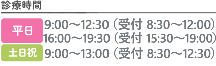 平日 9:00～12：30（受付時間：8:30～12:00）
				16:00～19:30（受付時間：15:30～19:00）、日曜 9:00～13:00（受付時間：8:30～12:30）休診日：土曜日午後、日曜日午後、祝日午後